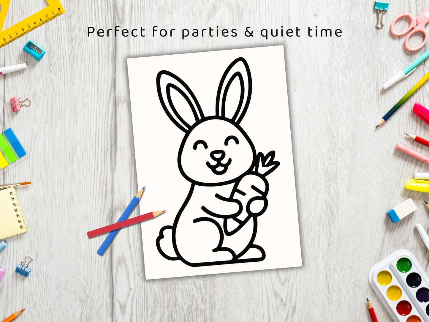 Bunny Colouring Book
